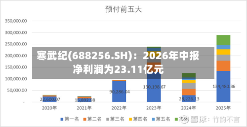 寒武纪(688256.SH):2026年中报净利润为23.11亿元-第2张图片