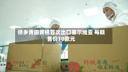 侨乡青田黄桃首次出口塞尔维亚 每颗售价10欧元