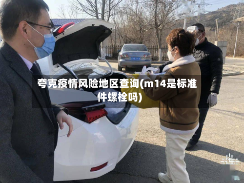 夸克疫情风险地区查询(m14是标准件螺栓吗)-第2张图片