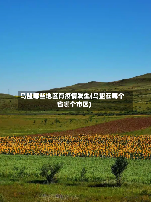 乌盟哪些地区有疫情发生(乌盟在哪个省哪个市区)-第3张图片