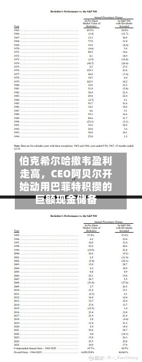 伯克希尔哈撒韦盈利走高，CEO阿贝尔开始动用巴菲特积攒的巨额现金储备-第1张图片