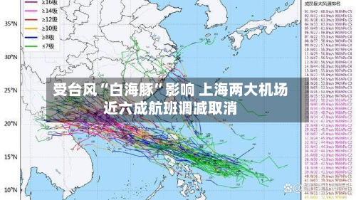 受台风“白海豚”影响 上海两大机场近六成航班调减取消-第2张图片