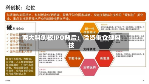 两大科创板IPO背后：险资重仓硬科技