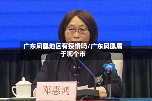 广东凤凰地区有疫情吗/广东凤凰属于哪个市
