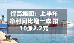 悍高集团：上半年净利同比增一成 拟10派2.2元-第2张图片