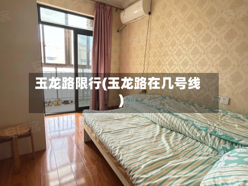 玉龙路限行(玉龙路在几号线)-第2张图片