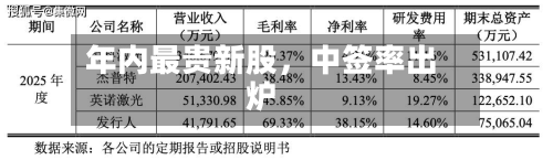 年内最贵新股，中签率出炉-第3张图片