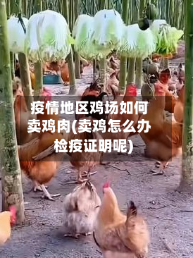 疫情地区鸡场如何卖鸡肉(卖鸡怎么办检疫证明呢)-第2张图片