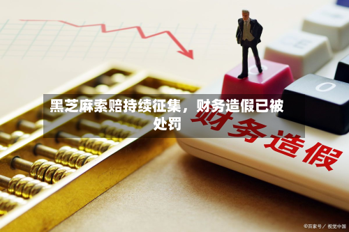 黑芝麻索赔持续征集，财务造假已被处罚-第3张图片