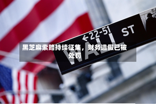 黑芝麻索赔持续征集，财务造假已被处罚-第2张图片