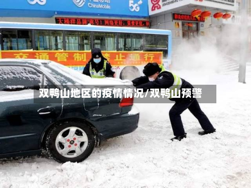 双鸭山地区的疫情情况/双鸭山预警-第2张图片