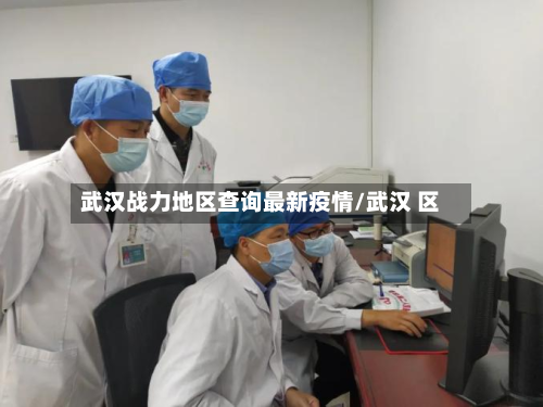 武汉战力地区查询最新疫情/武汉 区