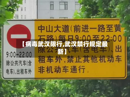 【病毒武汉限行,武汉禁行规定最新】