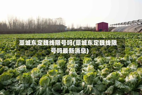 藁城东定魏线限号吗(藁城东定魏线限号吗最新消息)