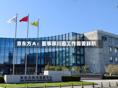 京东方Ａ：董事郭川因工作需要辞职