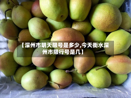 【深州市明天限号是多少,今天衡水深州市限行号是几】