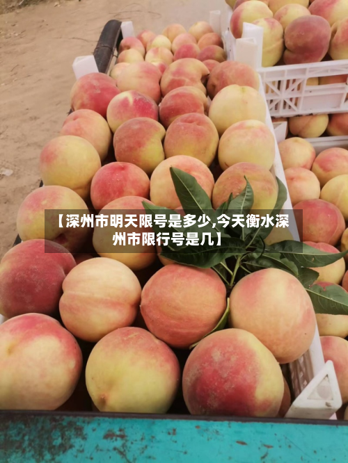 【深州市明天限号是多少,今天衡水深州市限行号是几】-第3张图片