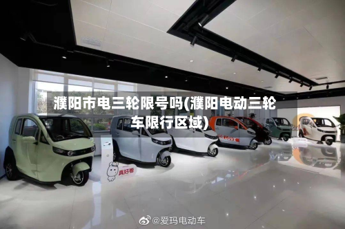 濮阳市电三轮限号吗(濮阳电动三轮车限行区域)-第2张图片