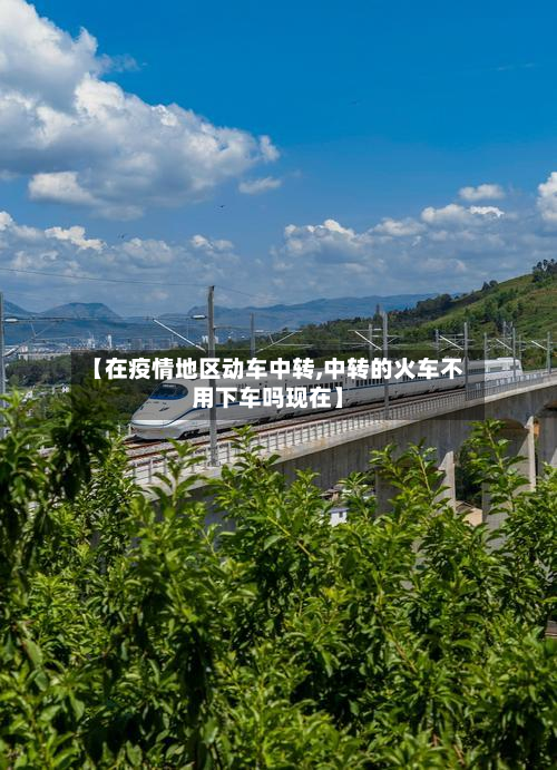 【在疫情地区动车中转,中转的火车不用下车吗现在】-第2张图片