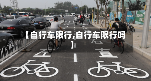 【自行车限行,自行车限行吗】-第3张图片