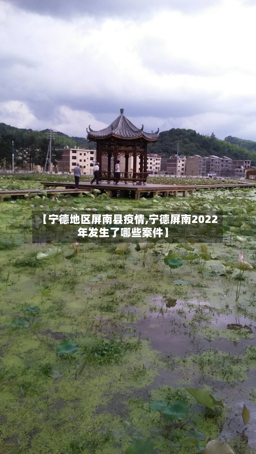 【宁德地区屏南县疫情,宁德屏南2022年发生了哪些案件】-第2张图片
