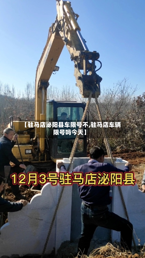 【驻马店泌阳县车限号不,驻马店车辆限号吗今天】
