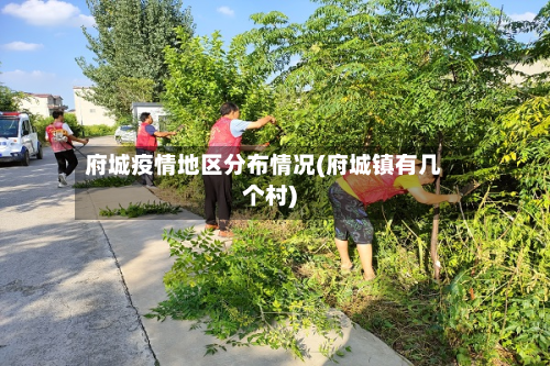 府城疫情地区分布情况(府城镇有几个村)-第3张图片