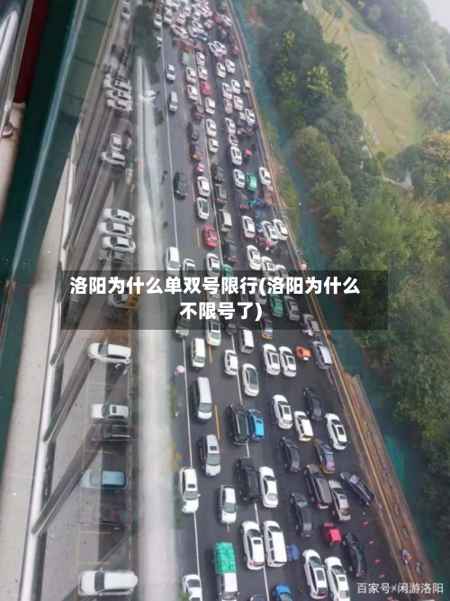洛阳为什么单双号限行(洛阳为什么不限号了)