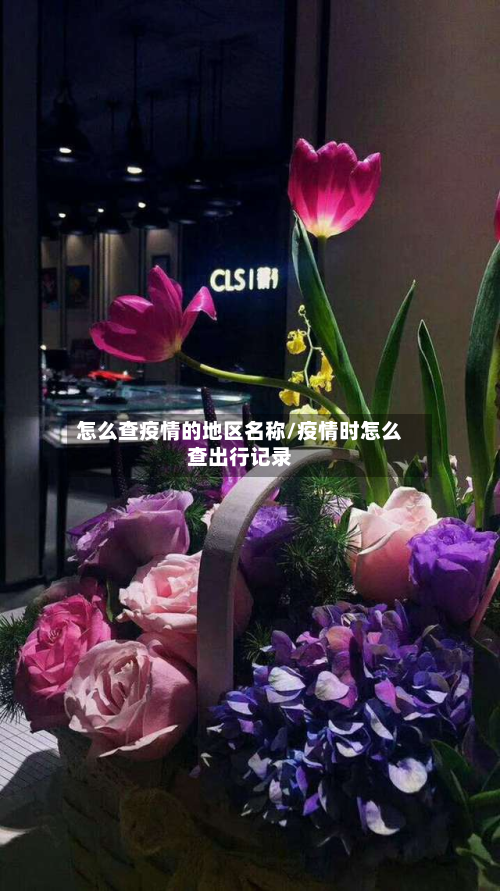 怎么查疫情的地区名称/疫情时怎么查出行记录-第3张图片
