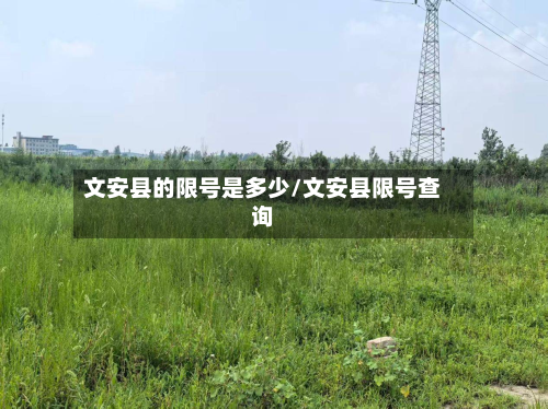 文安县的限号是多少/文安县限号查询