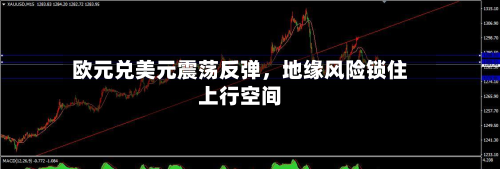 欧元兑美元震荡反弹，地缘风险锁住上行空间-第2张图片