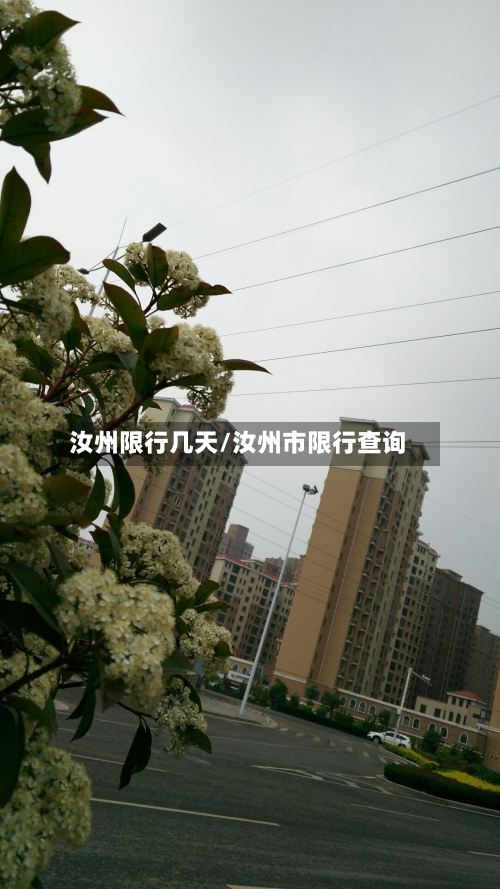 汝州限行几天/汝州市限行查询-第3张图片