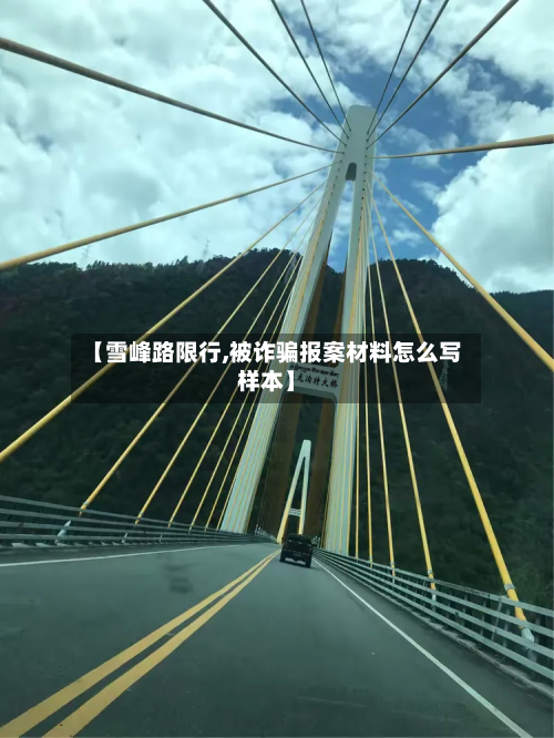 【雪峰路限行,被诈骗报案材料怎么写样本】-第2张图片