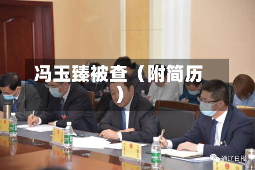 冯玉臻被查（附简历）-第2张图片