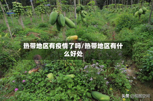 热带地区有疫情了吗/热带地区有什么好处