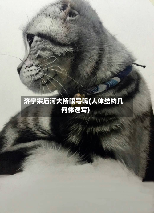 济宁宋庙河大桥限号吗(人体结构几何体速写)-第3张图片