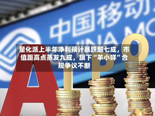 量化派上半年净利预计暴跌超七成，市值距高点蒸发九成，旗下“羊小咩”合规争议不断