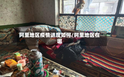 阿里地区疫情进度如何/阿里地区在哪-第3张图片