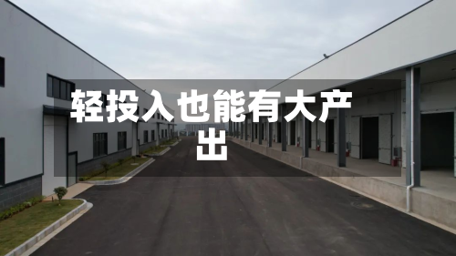 轻投入也能有大产出-第2张图片