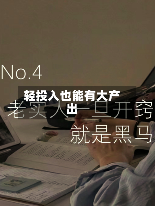 轻投入也能有大产出