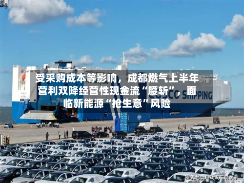 受采购成本等影响，成都燃气上半年营利双降经营性现金流“腰斩	”	，面临新能源“抢生意”风险-第1张图片