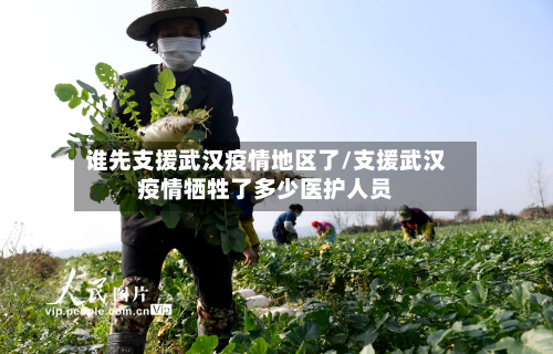 谁先支援武汉疫情地区了/支援武汉疫情牺牲了多少医护人员-第3张图片