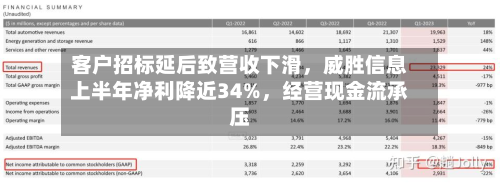 客户招标延后致营收下滑，威胜信息上半年净利降近34%	，经营现金流承压-第3张图片