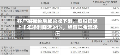 客户招标延后致营收下滑	，威胜信息上半年净利降近34%，经营现金流承压-第2张图片