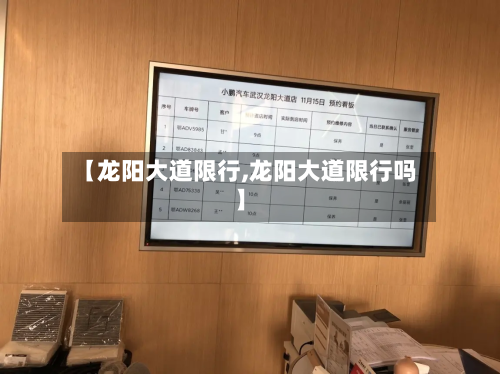 【龙阳大道限行,龙阳大道限行吗】