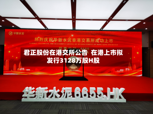 君正股份在港交所公告  在港上市拟发行3128万股H股-第2张图片