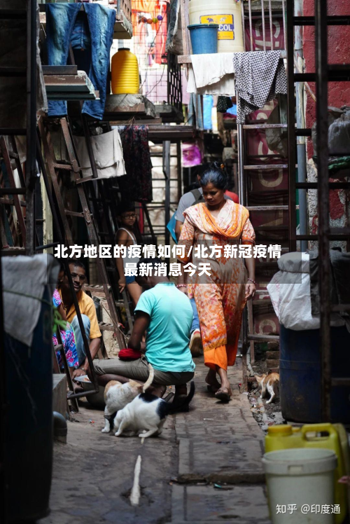 北方地区的疫情如何/北方新冠疫情最新消息今天-第2张图片