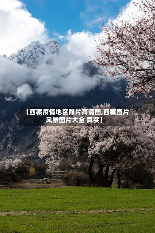 【西藏疫情地区照片高清图,西藏图片风景图片大全 真实】-第2张图片