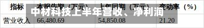 中材科技上半年营收	、净利润均增逾20%-第2张图片