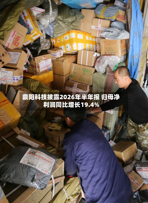 鼎阳科技披露2026年半年报 归母净利润同比增长19.4%-第1张图片